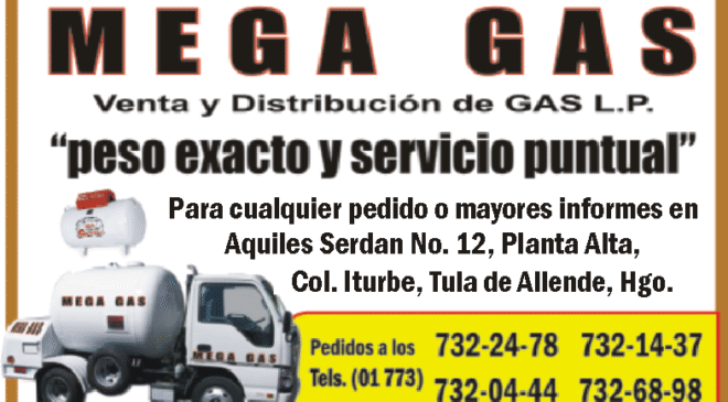 Suspenden obras del tramo 5 del Tren Maya; tribunal determina daños ambientales