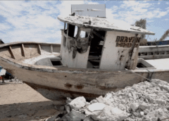 Aguacate, pesca y hasta mercurio; CJNG impacta a las economías rurales de México y América Latina