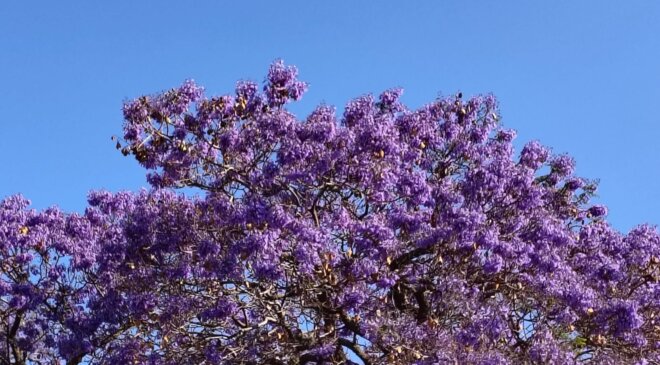 Agradable fin de semana en Tula