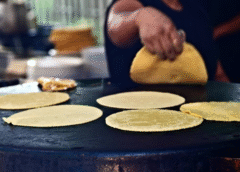 En defensa de las tortillerías de barrio; no a las restricciones para su comercialización