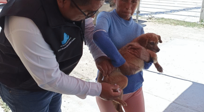 SSH convoca a participar en la Semana Nacional de Vacunación Antirrábica 2026