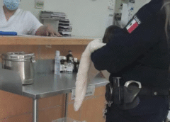 Mujer entrega a su bebé a un indigente en Sonora; policía la rescata