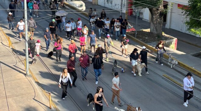 Realizan en Tula torneo de ajedrez con causa y caminata canina
