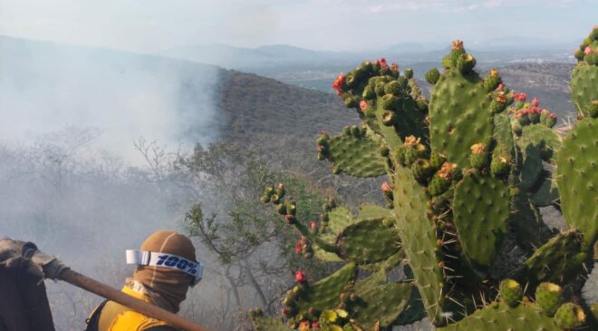 Voraz incendio en un cerro de San Ildefonso; está muy fuerte, lleva quemándose ya 24 horas