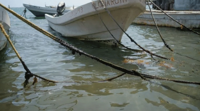 Sheinbaum anuncia “apoyo adicional” de 15 mil pesos para pescadores afectados por derrame de crudo