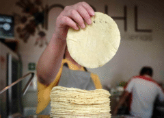 Agricultura y Profeco descartan alzas al precio de la tortilla y llaman a no atender versiones falsas sobre costos del maíz y la harina