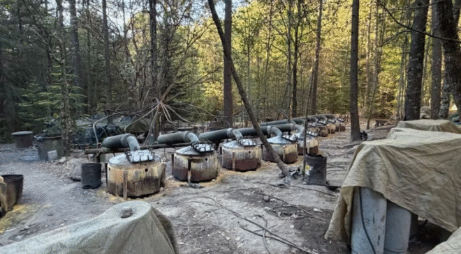 Sheinbaum exige a EU explicación por agentes en Chihuahua