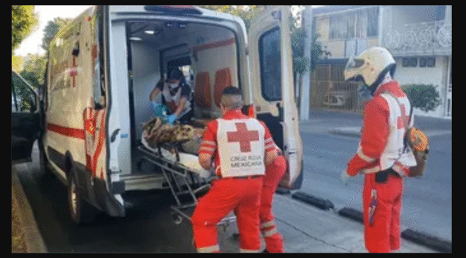 Un hombre libró la muerte al caer del segundo piso de un inmueble en Atotonilco de Tula; recibió atención médica oportuna