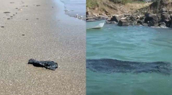 Marcha por el Mar Veracruz 2026: ¿Cuándo y Dónde Será Movilización por Derrame de Hidrocarburo?