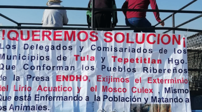 Habitantes de comunidades ribereñas a la presa Endho se manifiestan y toman acciones drásticas para que los escuche el gobierno y erradiquen ya el lirio y el mosco cúlex