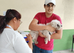 Viajar con mascotas crecerá rumbo al evento de fútbol más importante del mundo, pero 42% teme por su bienestar