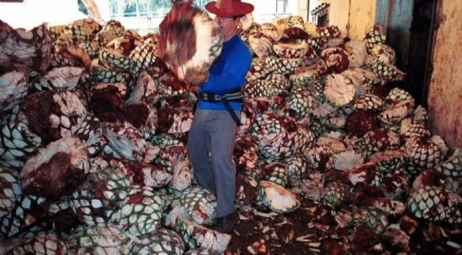 Acuerdo con la UE prioriza inversión extranjera, pero descuida a empresas mexicanas, alerta experto