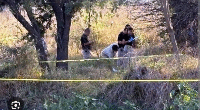 Joven mujer de 19 años fue encontrada atada a un árbol con una soga, en comunidad de Tepeji; ya investiga la Procuraduría de Justicia