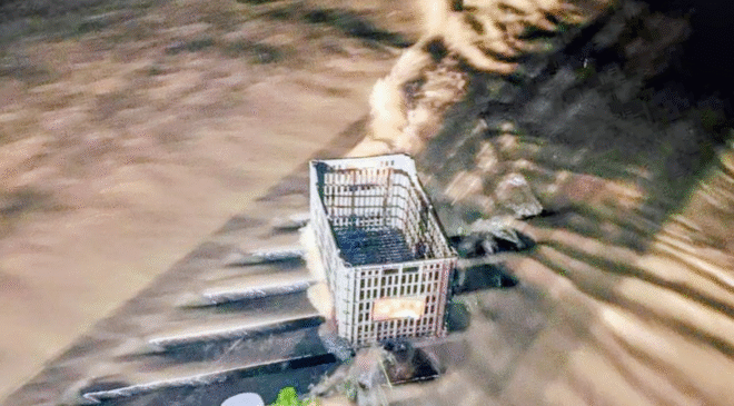 La fuerte lluvia que cayó en municipios de esta región provocó anegaciones, principalmente por la basura que tapó las coladeras, PC llama a la población a no tirar desperdicios en la calle