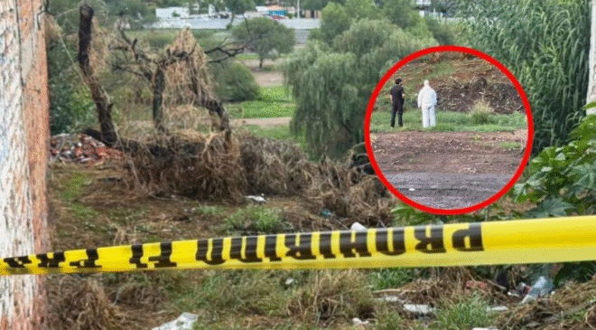 Muere hombre de 67 años devorado por una jauría de perros mientras recogía plantas en Aguascalientes