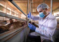 Día Mundial de la Zoonosis: 3 de cada 4 enfermedades infecciosas nuevas tienen origen animal