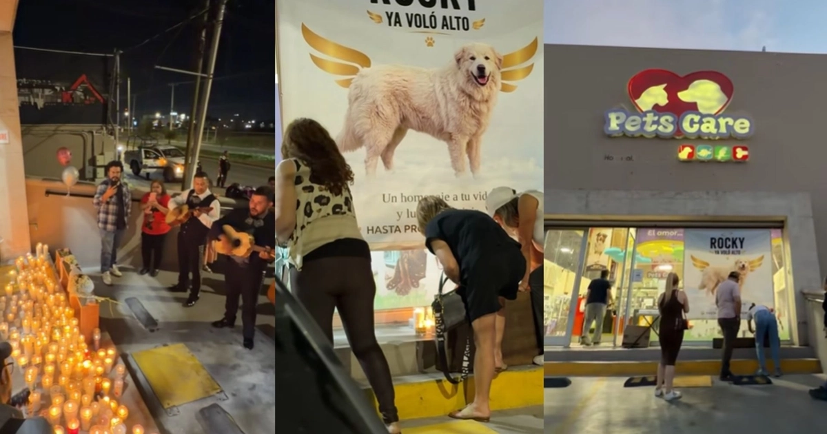 El perro Gran Pirineo, de 14 años, murió por un trauma medular agudo provocado por el arrastre. Su dueña, Liliana “N”, enfrenta cargos ante la Fiscalía de Coahuila. (Captura de pantalla Facebook Pets Care)