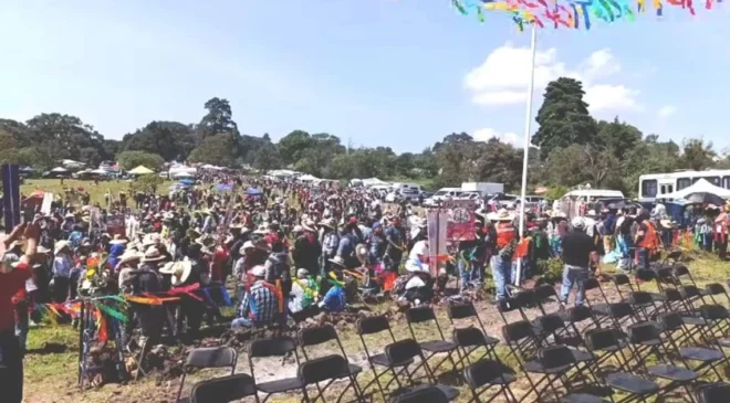 Más de 30 mil peregrinos provenientes de Querétaro, movidos por la fe y la esperanza, caminan con destino al Tepeyac donde visitarán la Virgen de Guadalupe.