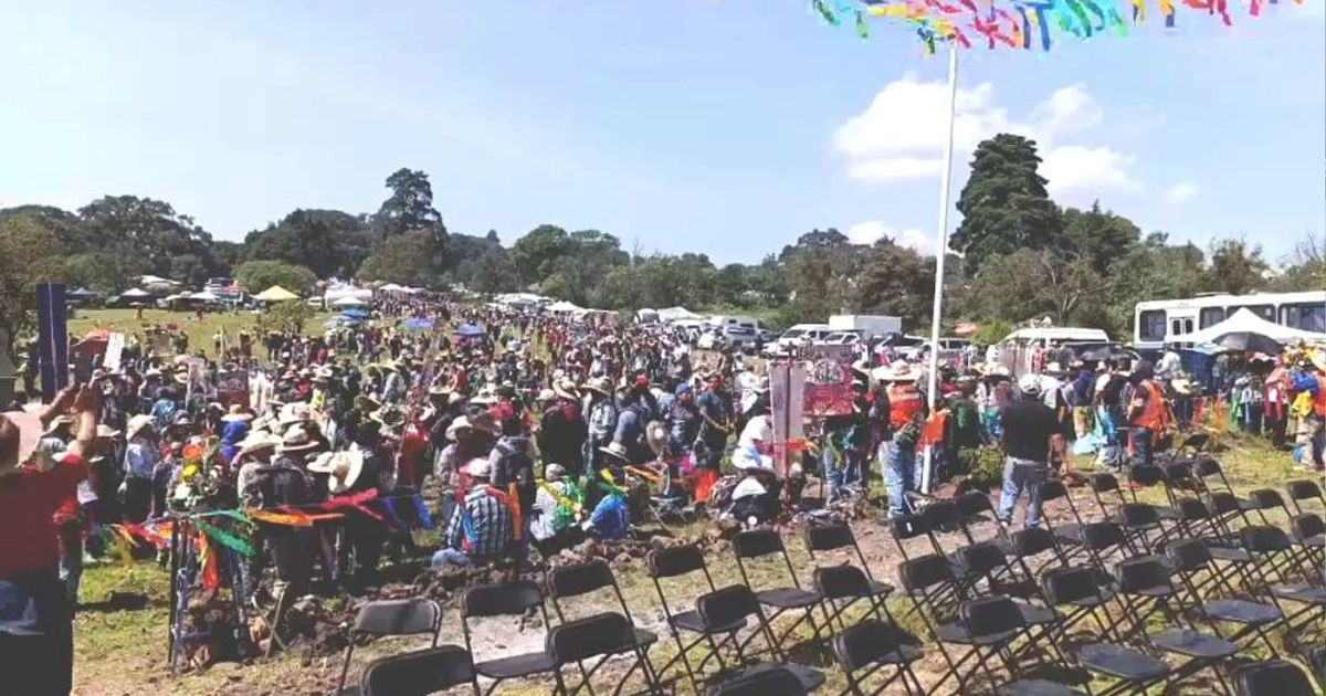 Más de 30 mil peregrinos provenientes de Querétaro, movidos por la fe y la esperanza, caminan con destino al Tepeyac donde visitarán la Virgen de Guadalupe.