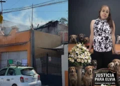 Elvia, defensora de animales, fue encerrada y quemada presuntamente por su esposo en Aguascalientes