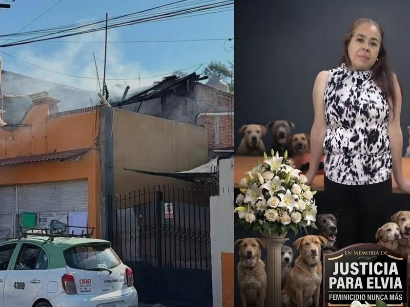 Imagen ilustrativa con fotografías obtenidas de redes sociales.