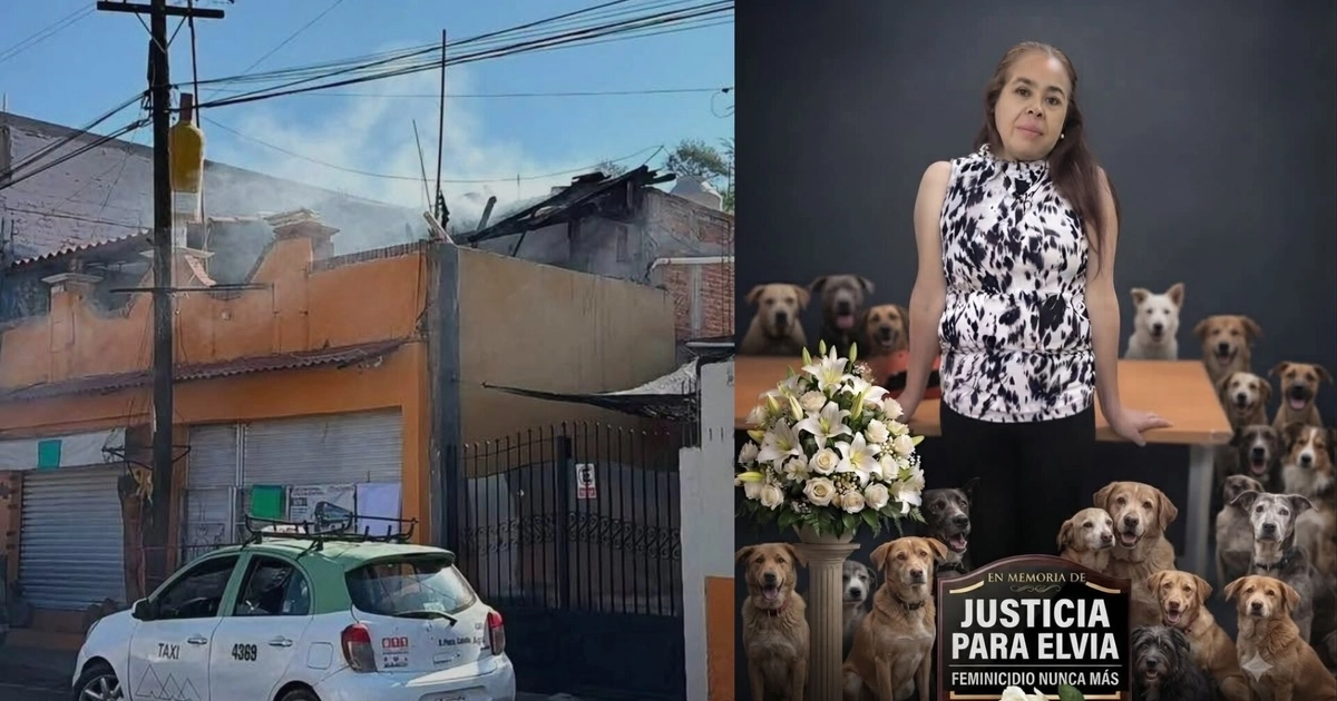 Imagen ilustrativa con fotografías obtenidas de redes sociales.