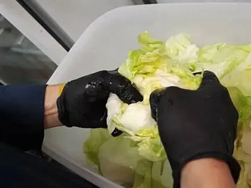 Los CDC dijeron haber identificado a un único proveedor en México de la lechuga utilizada por esos establecimientos. Foto: Unsplash