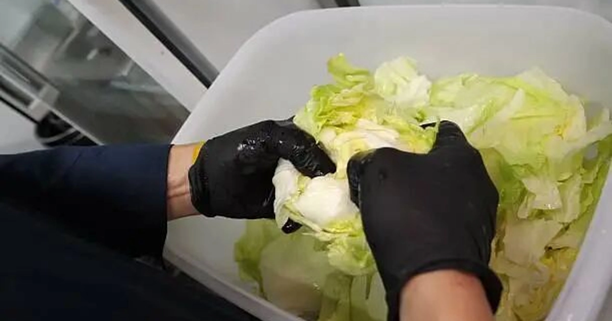 Los CDC dijeron haber identificado a un único proveedor en México de la lechuga utilizada por esos establecimientos. Foto: Unsplash