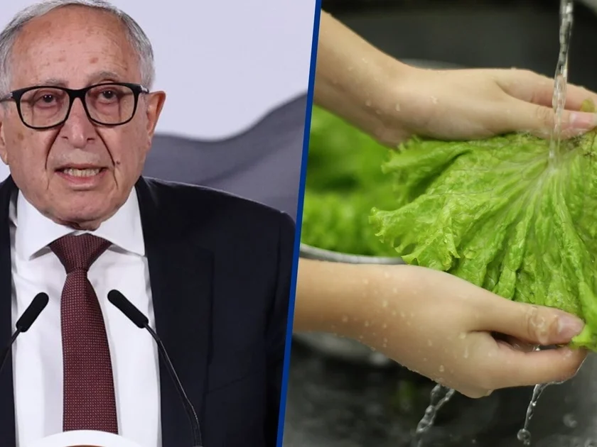En México ha habido tres casos de Cyclospora y las autoridades descartan un brote como en Estados Unidos. (Cuartoscuro/Shutterstock)