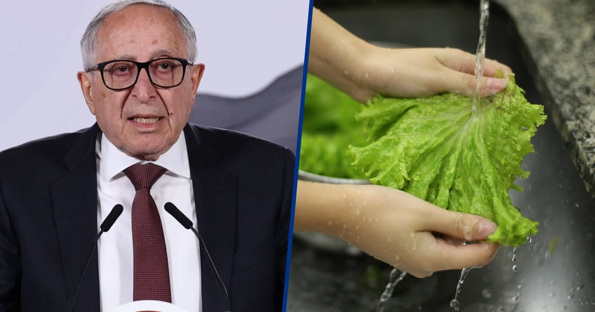 En México ha habido tres casos de Cyclospora y las autoridades descartan un brote como en Estados Unidos. (Cuartoscuro/Shutterstock)