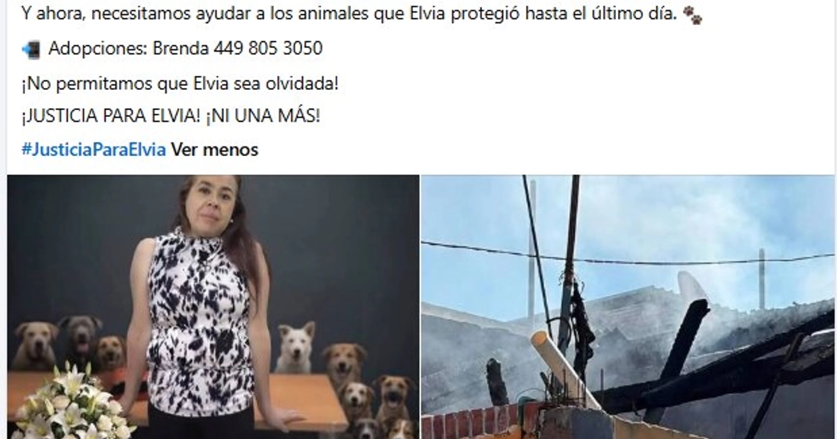(Capturas de pantalla)
