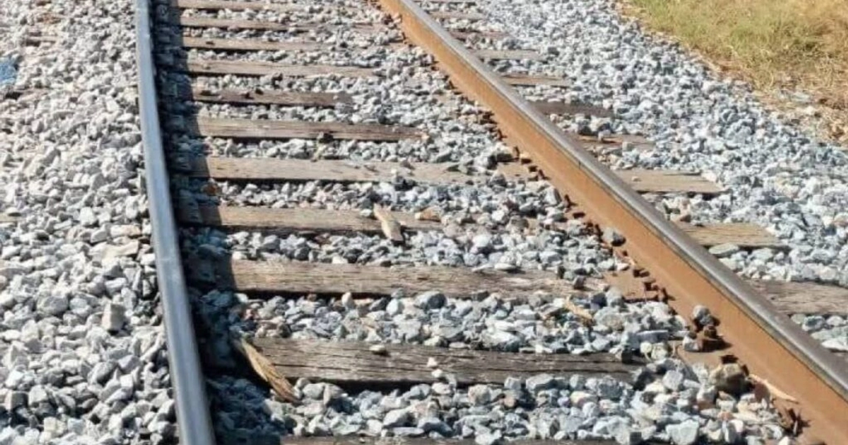 Vías del tren. Foto: Cuartoscuro | Archivo