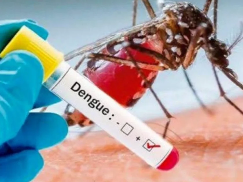 Alerta por dengue en México: aumentan casos y ya suman siete defunciones en 2026