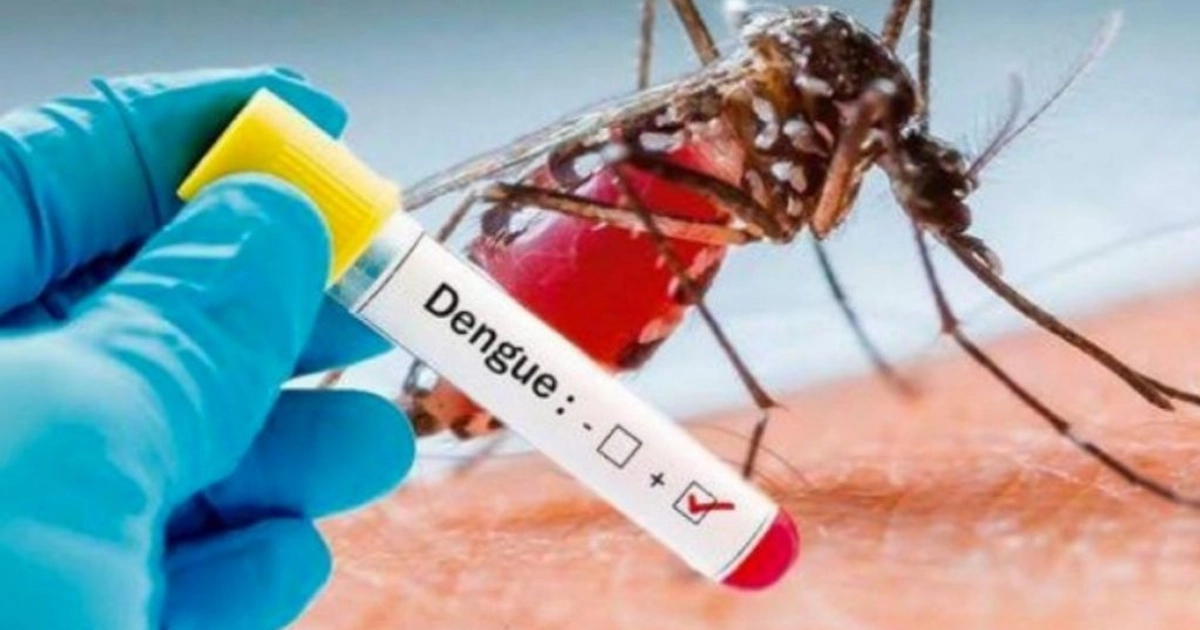 Alerta por dengue en México: aumentan casos y ya suman siete defunciones en 2026