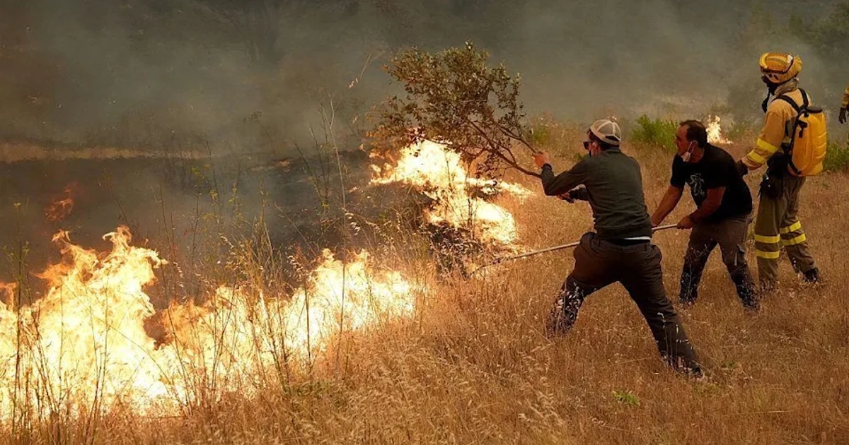 Los vecinos ayudan a los bomberos a combatir un incendio forestal en la zona de Cebreros, cerca de Ávila. [Getty Images]