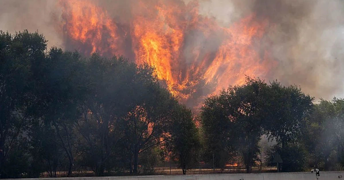 Un incendio forestal en la carretera M-206, entre Torrejón de Ardoz y Loeches, en Madrid. [Europa Press via Getty Images]
