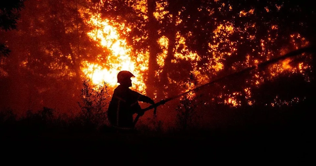 Un bombero rocía agua en un bosque en llamas cerca a una zona residencial de Lege-Cap-Ferret. [AFP via Getty Images]