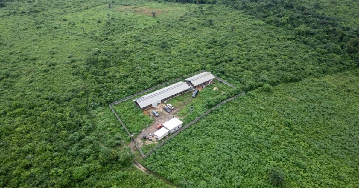 Narcolaboratorio visto desde el aire. AFP