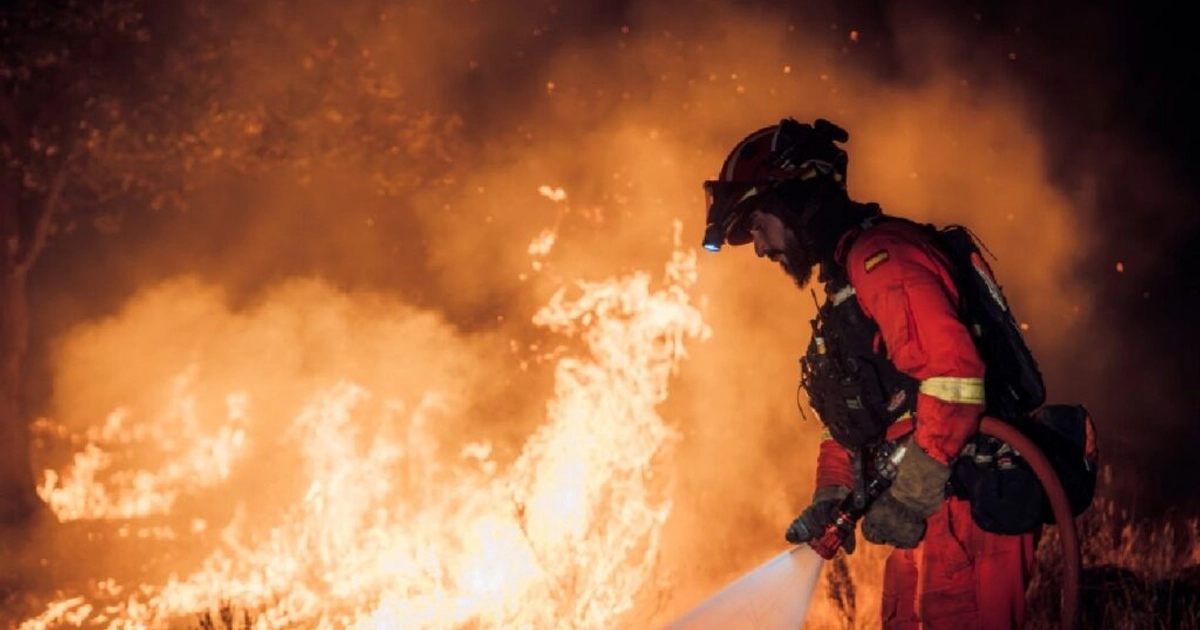 Olas de calor provocan cientos de incendios forestales en Francia, Italia y España