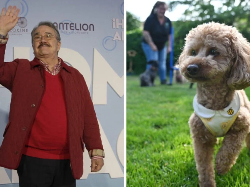 Postura de TV Azteca ante decclaraciones de Pedro Sola. Foto: AFP