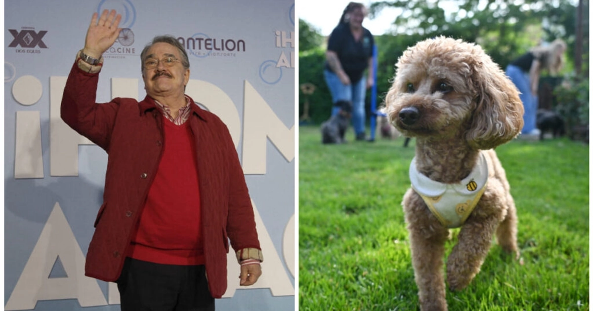 Postura de TV Azteca ante decclaraciones de Pedro Sola. Foto: AFP