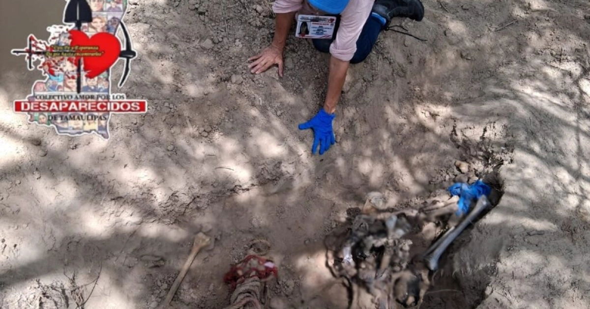 Localizan fosas clandestinas en Tamaulipas. Foto: Colectivo de Amor