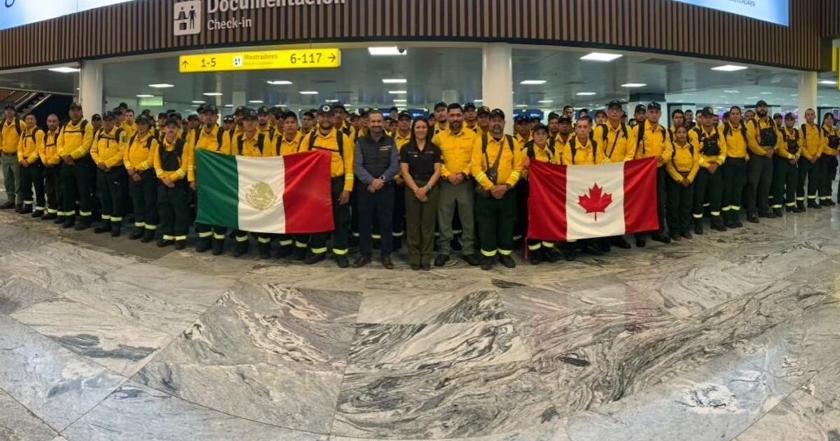 México se une contra los incendios en Canadá con 104 brigadistas. Foto: Conafor