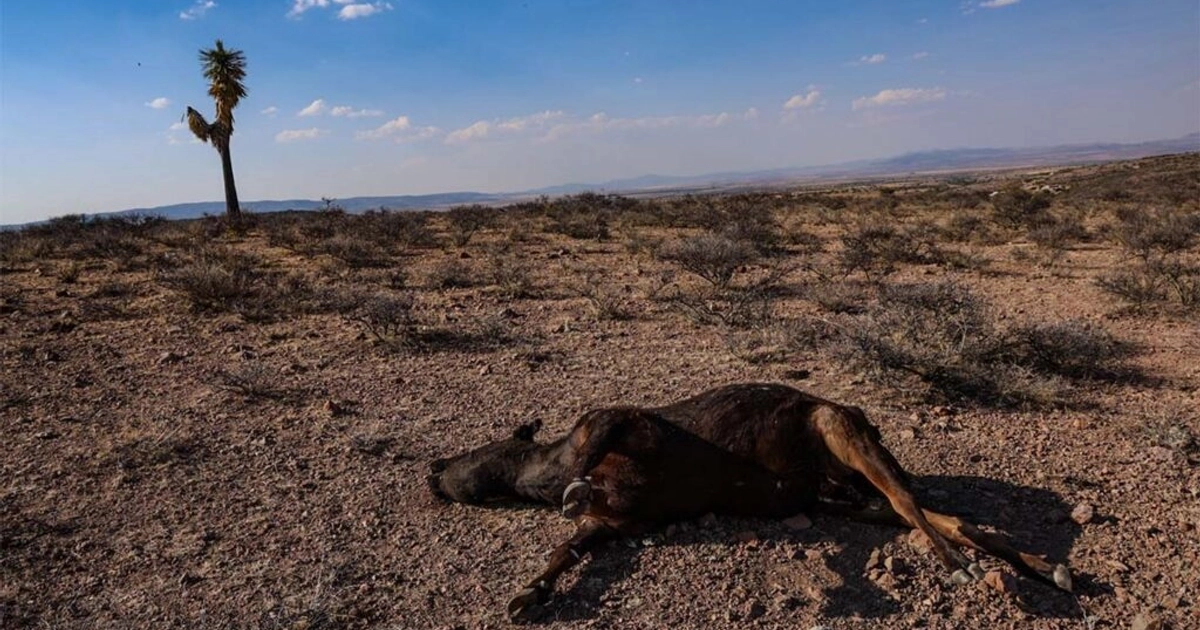 Conagua: sequía en México permanece en niveles bajos tras lluvias de junio