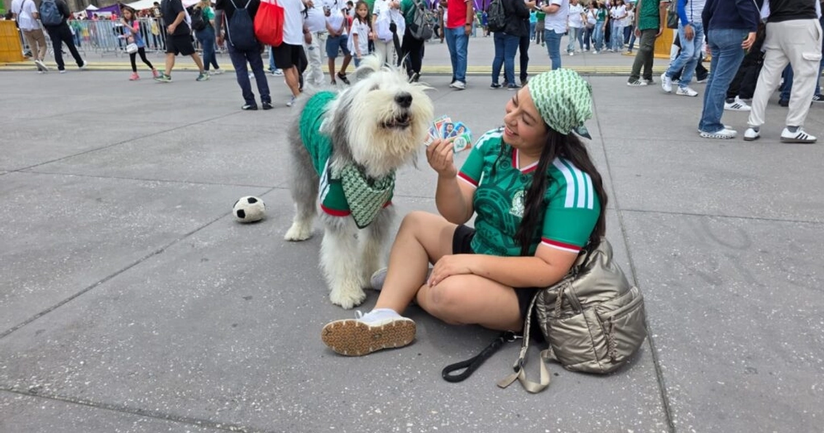 Los perritos también coleccionan su álbum del Mundial | Foto: Uno TV