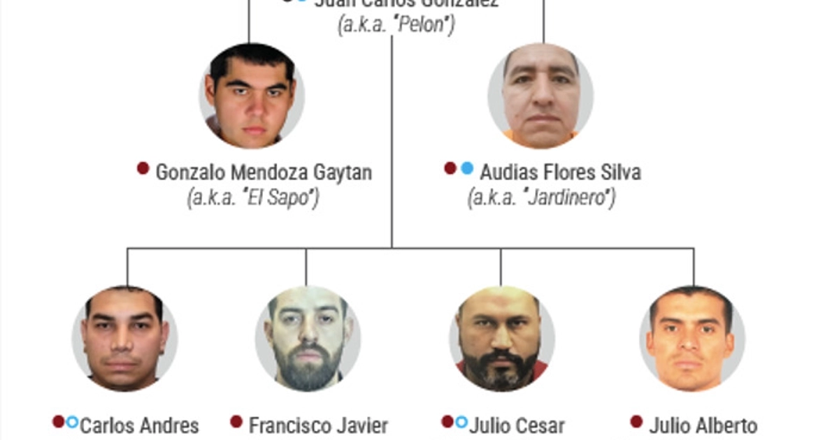 Nuevos liderazgos del CJNG