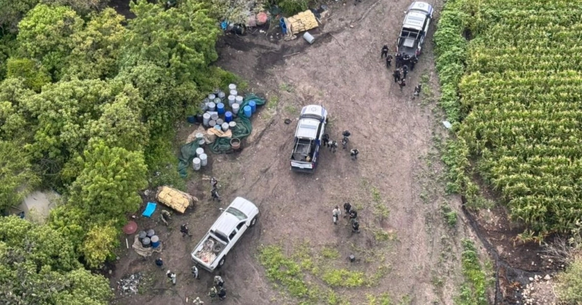 Despliegue operativo en la zona serrana donde se localizó el narcolaboratorio. Foto: SSyP