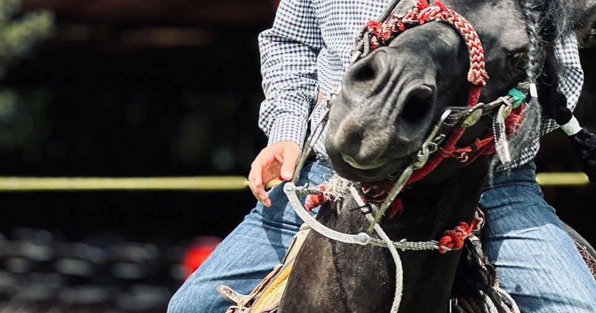 Carlos Manzo fue asesinado la noche del 1 de noviembre de 2025 durante el Festival de las Velas en Uruapan. Crédito: Grecia Quiroz