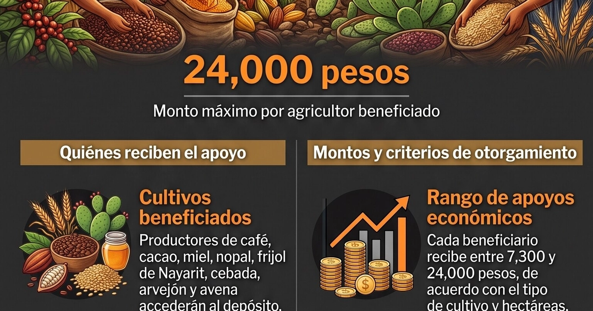Infografía con ilustraciones de agricultores, gráficos de monedas, un calendario con la fecha 7 de septiembre y varios bloques de texto.