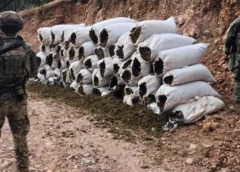 Operativo en Sinaloa: detienen a 12 y aseguran armas, granadas y más de 1.3 toneladas de marihuana